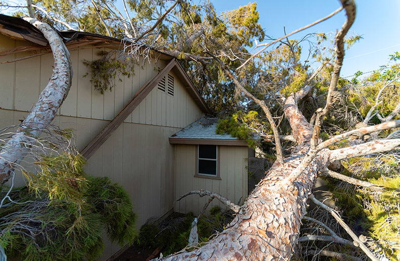 New tools to enhance resilience in the residential construction sector