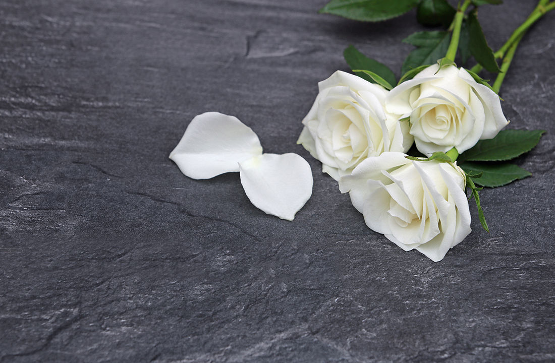 Strong competition in the end-of-life insurance market