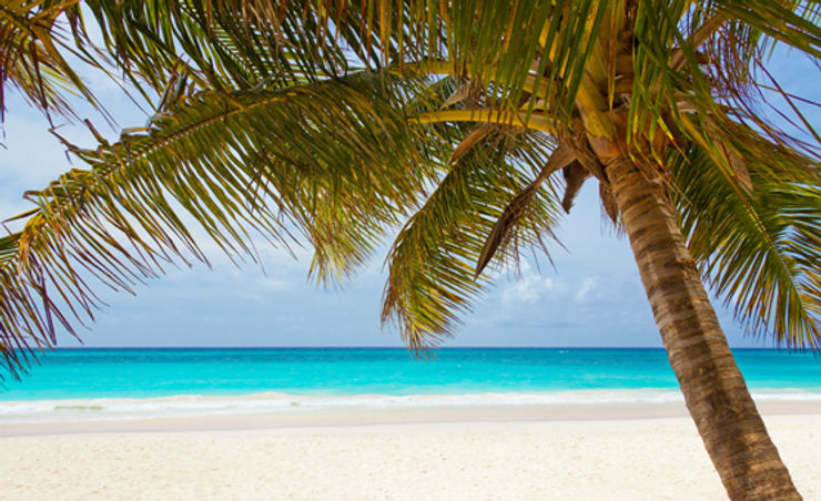 TIC Travel Allianz Global Assistance Insurance