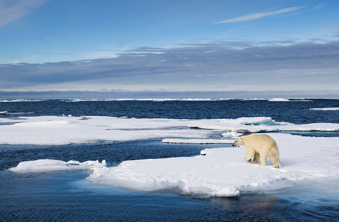 Actuaries Climate Index declines in August 2025