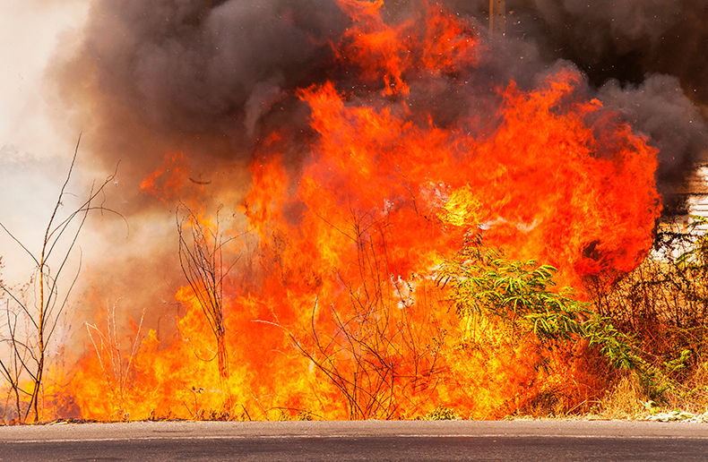 Jasper wildfire losses climb in most recent estimate